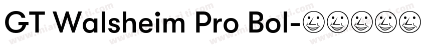 GT Walsheim Pro Bol字体转换